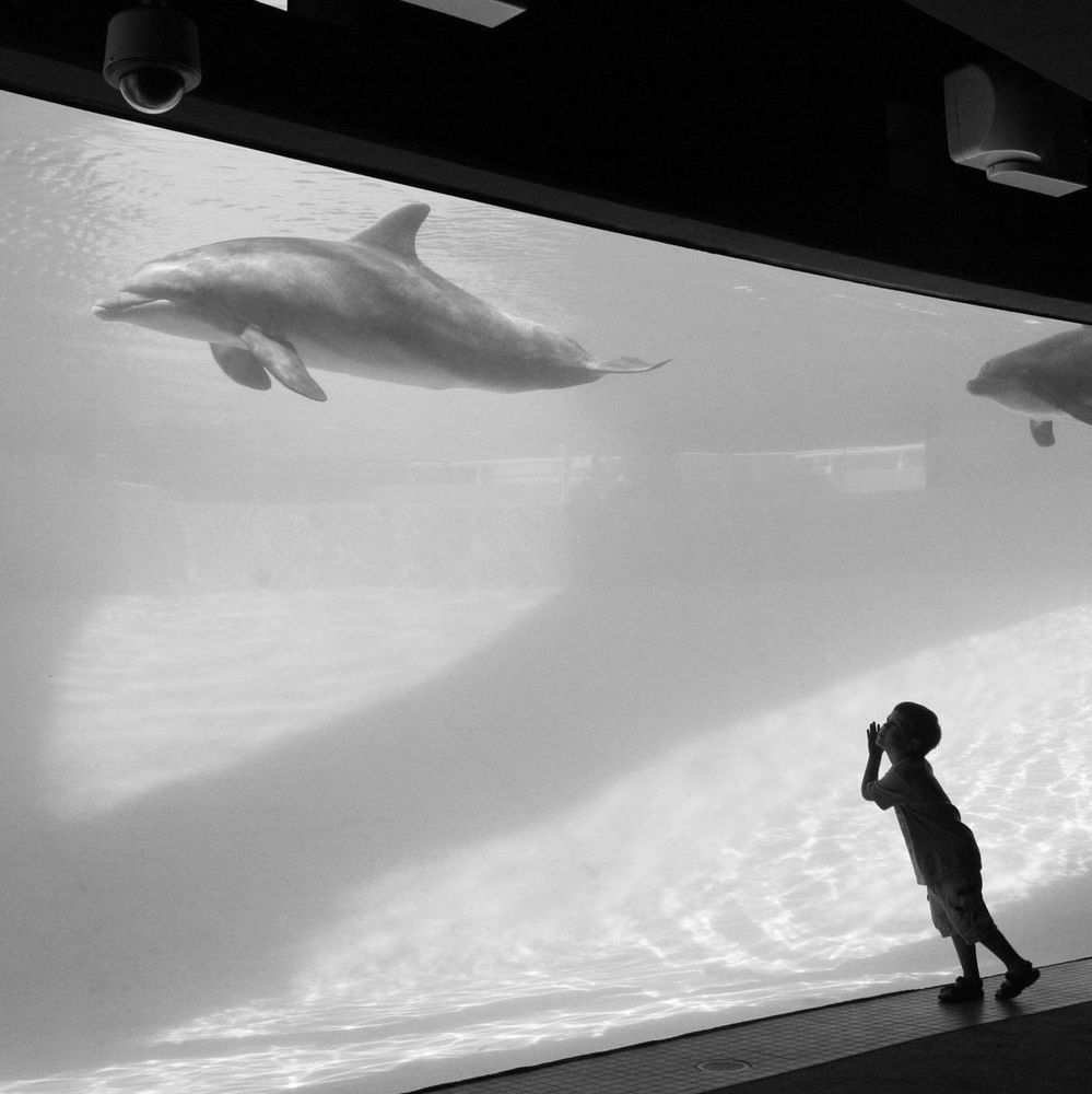 Meet your Posher, Justin